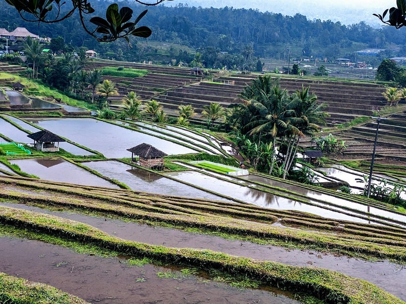 COMO Shambhala Estate, Bali