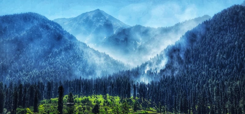 Ananda in the Himalayas, India